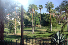 Gardens